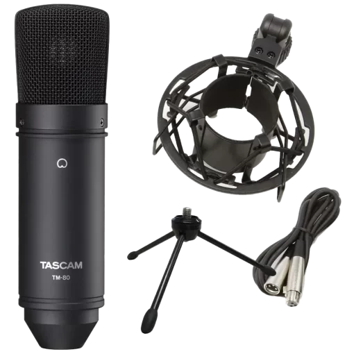 mic hát live - thu âm tascam tm-80b